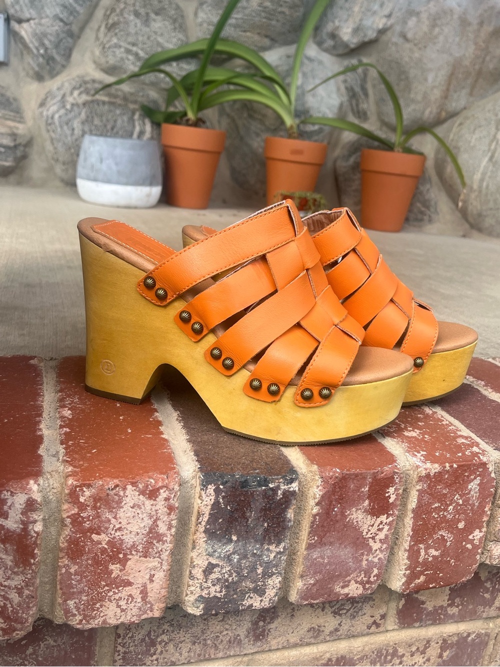 Dingo Dagwood Wedge Platform Sandals